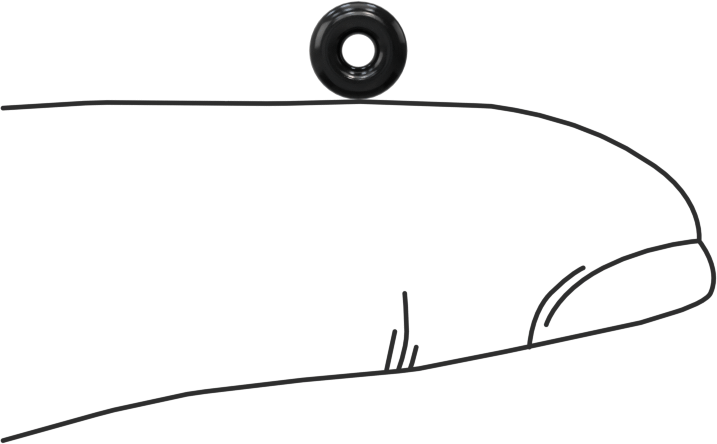 Temiz Oda Viton® Floroelastomer O-Rings, Kimyasala Dayanıklı, 1/16 Kesirli Genişlik, Dash Numarası 004