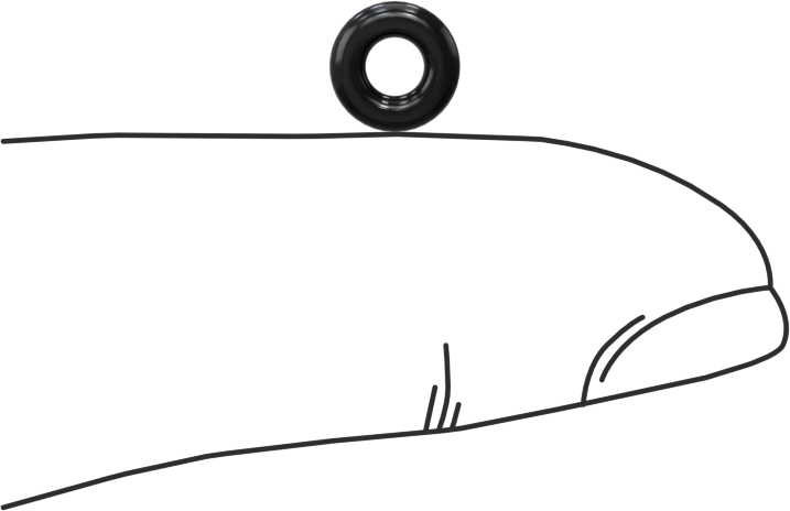 Temiz Oda Viton® Floroelastomer O-Rings, Kimyasala Dayanıklı, 1/16 Kesirli Genişlik, Dash Numarası 006
