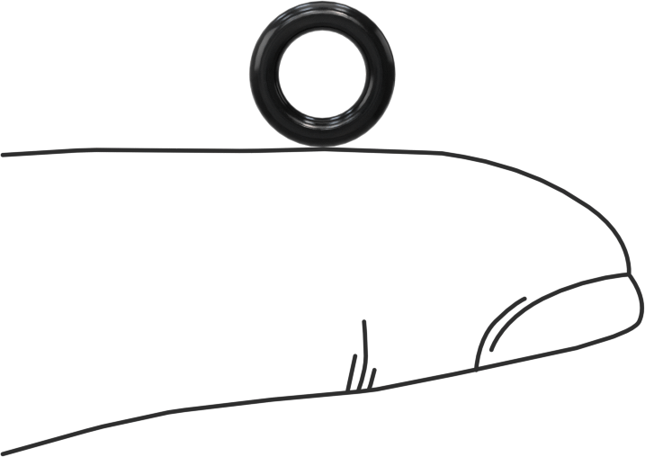 Temiz Oda Viton® Floroelastomer O-Rings, Kimyasala Dayanıklı, 1/16 Kesirli Genişlik, Dash Numarası 009