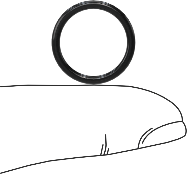 Temiz Oda Viton® Floroelastomer O-Rings, Kimyasala Dayanıklı, 1/16 Kesirli Genişlik, Dash Numarası 015