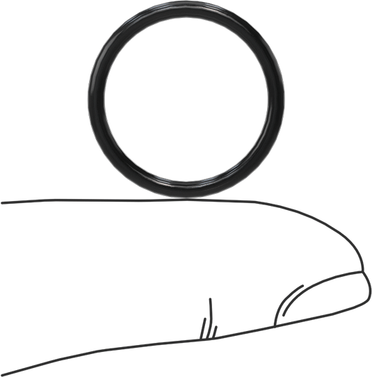 Temiz Oda Viton® Floroelastomer O-Rings, Kimyasala Dayanıklı, 1/16 Kesirli Genişlik, Dash Numarası 017