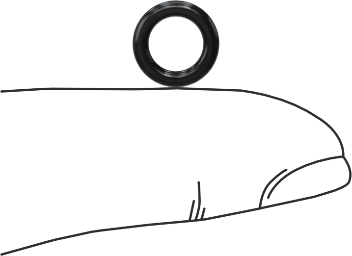Temiz Oda Viton® Floroelastomer O-Rings, Kimyasala Dayanıklı, 1/16 Kesirli Genişlik, Dash Numarası 010