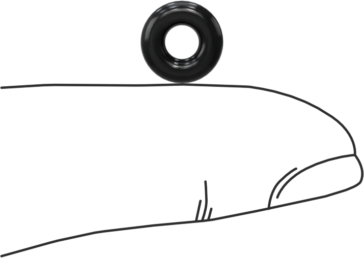 Temiz Oda Viton® Floroelastomer O-Rings, Kimyasala Dayanıklı, 3/32 Kesirli Genişlik, Dash Numarası 105