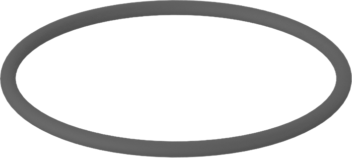 Metal Dedektör Tipi Floroelastomer O-Ring, Kimyasala Dayanıklı, 1/16 Kesirli Genişlik, Dash Numarası 029