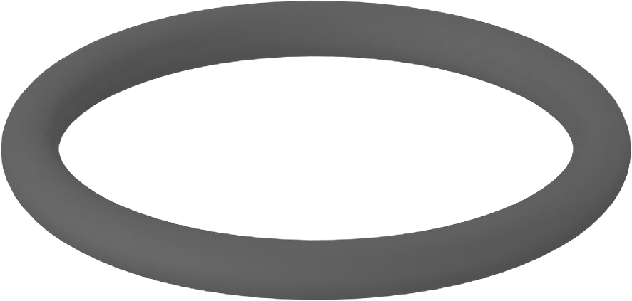 Metal Dedektör Tipi Floroelastomer O-Ring, Kimyasala Dayanıklı, 3/32 Kesirli Genişlik, Dash Numarası 119