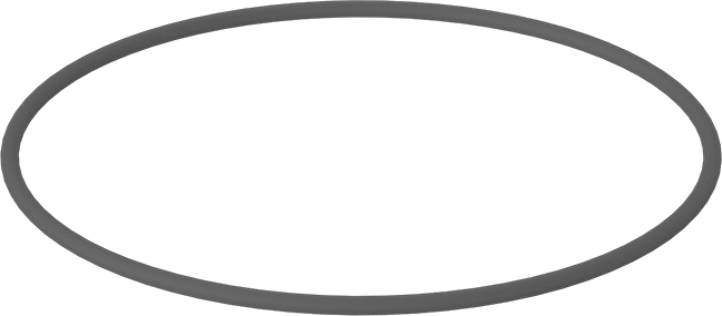 Metal Dedektör Tipi Floroelastomer O-Ring, Kimyasala Dayanıklı, 1/8 Kesirli Genişlik, Dash Numarası 253