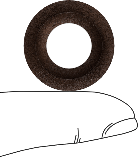 Deri İstiflenebilir V-Ring Salmastra, Yüksek Basınç, 1/2" İç Çap x 1" Dış Çap