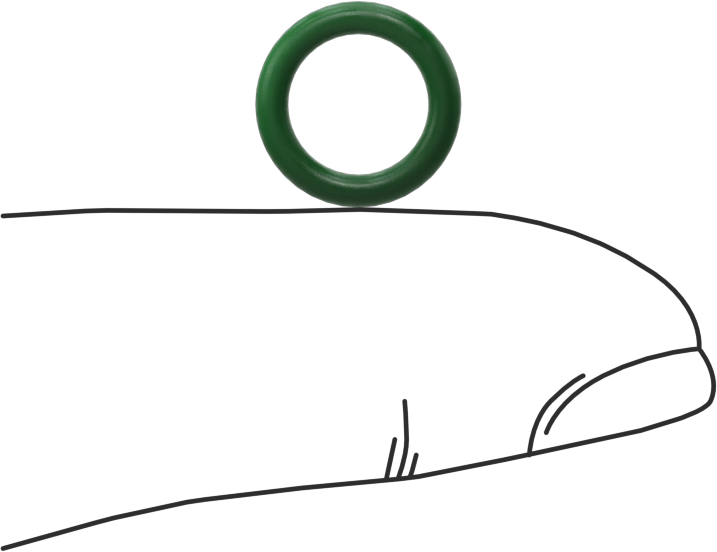 Hava Koşullarına ve Yağa Dayanıklı HNBR O-Rings, 1/16 Kesirli Genişlik, Dash Numarası 011