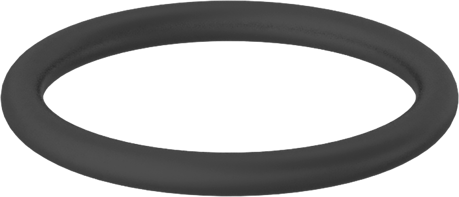 Viton® ETP Floroelastomer O-Ring, Buhara ve Kimyasala Dayanıklı, 1/8 Kesirli Genişlik, Dash 218