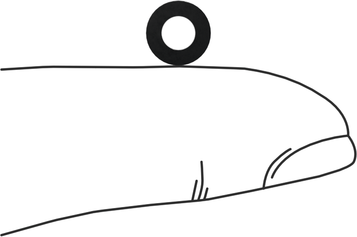 Kare Profilli Yağa Dayanıklı Buna-N O-Ring, 1/16 Kesirli Genişlik, Dash Numarası 007