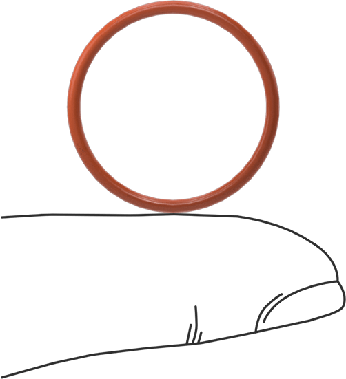 Yüksek Sıcaklık Silikon O-Ring, 1.5 mm Genişlik, 21 mm İç Çap