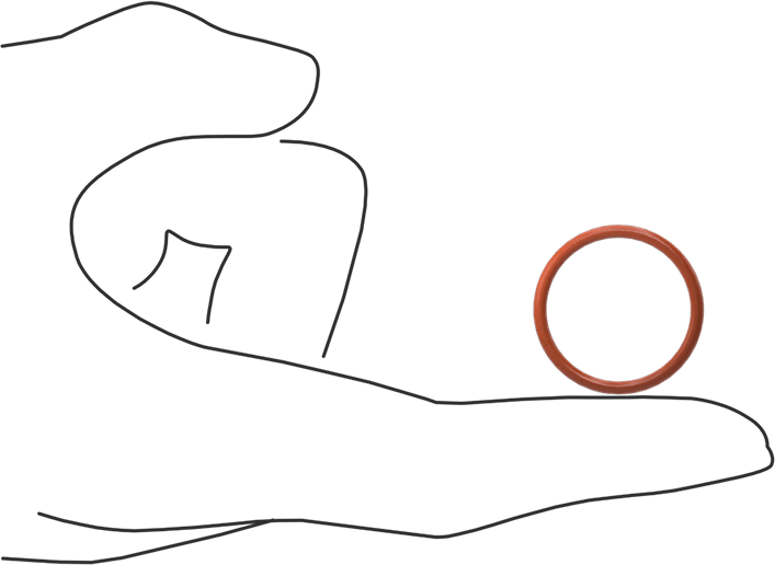 Yüksek Sıcaklık Silikon O-Ring, 2 mm Genişlik, 22 mm İç Çap