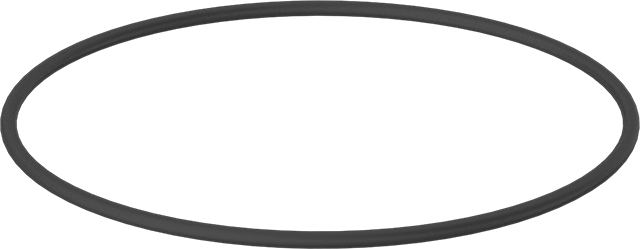 Buhara ve Ultra Kimyasala Dayanıklı Aflas O-Ring, 1/8 Kesirli Genişlik, Dash Numarası 252