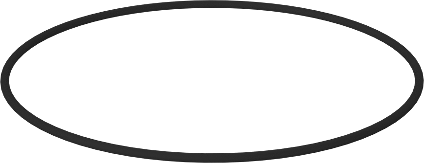 Kimyasala Dayanıklı Viton® Floroelastomer O-Ring, Kahverengi, 1/4 Kesirli Genişlik, Dash Numarası 455