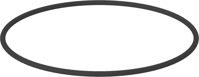 Kimyasala Dayanıklı Viton® Floroelastomer O-Ring, Kahverengi, 1/8 Kesirli Genişlik, Dash Numarası 251