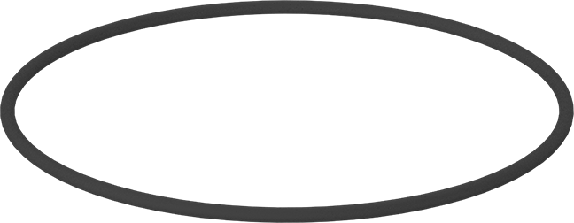 Kimyasala Dayanıklı Viton® Floroelastomer O-Ring, Kahverengi, 1/8 Kesirli Genişlik, Dash Numarası 253
