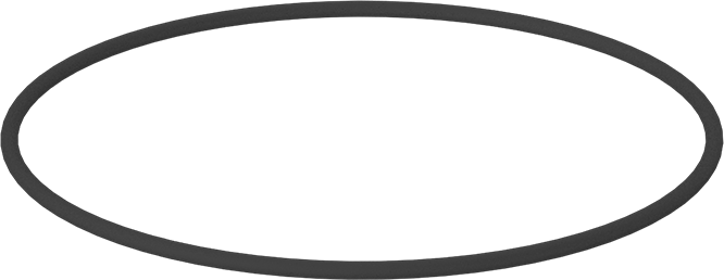 Kimyasala Dayanıklı Viton® Floroelastomer O-Ring, Kahverengi, 1/8 Kesirli Genişlik, Dash Numarası 255