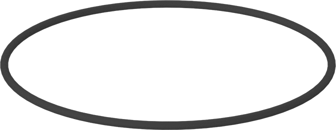 Kimyasala Dayanıklı Viton® Floroelastomer O-Ring, Kahverengi, 1/8 Kesirli Genişlik, Dash Numarası 256