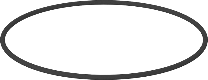 Kimyasala Dayanıklı Viton® Floroelastomer O-Ring, Kahverengi, 1/8 Kesirli Genişlik, Dash Numarası 257