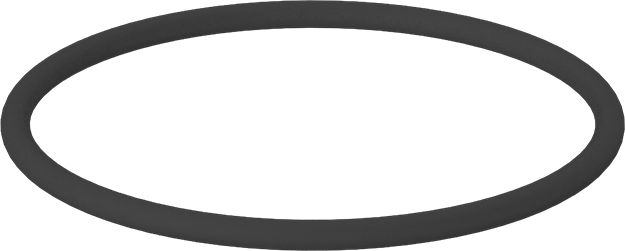 Kimyasala Dayanıklı Viton® Floroelastomer O-Ring, Kahverengi, 3/16 Kesirli Genişlik, Dash Numarası 346