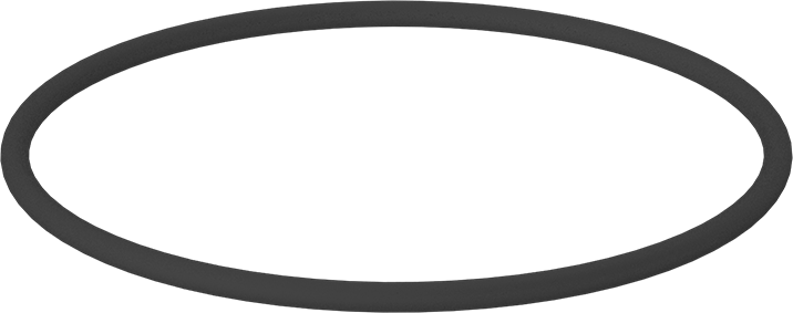 Kimyasala Dayanıklı Viton® Floroelastomer O-Ring, Kahverengi, 1/4 Kesirli Genişlik, Dash Numarası 442