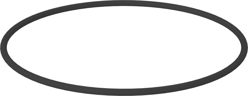 Kimyasala Dayanıklı Viton® Floroelastomer O-Ring, Kahverengi, 1/4 Kesirli Genişlik, Dash Numarası 449