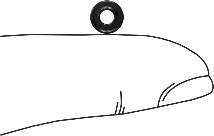 Kimyasala Dayanıklı Viton® Floroelastomer O-Ring, X Profilli, 1/16 Kesirli Genişlik, Dash Numarası 005