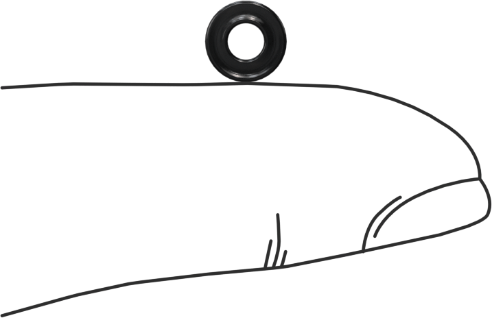 Kimyasala Dayanıklı Viton® Floroelastomer O-Ring, X Profilli, 1/16 Kesirli Genişlik, Dash Numarası 006