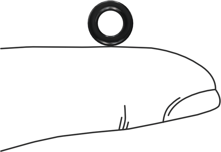Kimyasala Dayanıklı Viton® Floroelastomer O-Ring, X Profilli, 1/16 Kesirli Genişlik, Dash Numarası 008