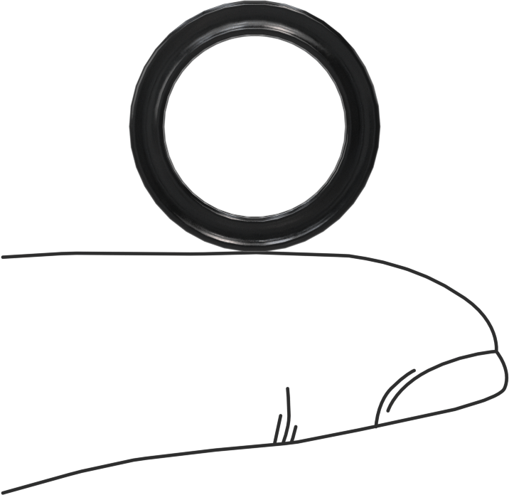 Kimyasala Dayanıklı Viton® Floroelastomer O-Ring, X Profilli, 3/32 Kesirli Genişlik, Dash Numarası 113