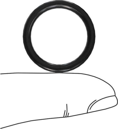 Kimyasala Dayanıklı Viton® Floroelastomer O-Ring, X Profilli, 3/32 Kesirli Genişlik, Dash Numarası 116