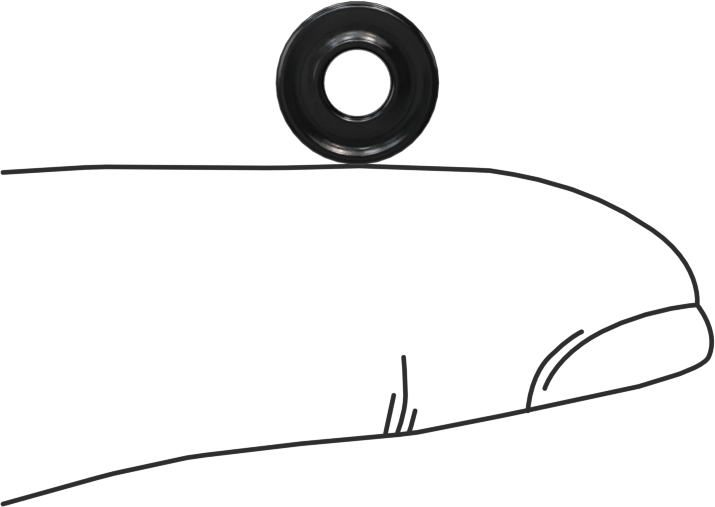 Kimyasala Dayanıklı Viton® Floroelastomer O-Ring, X Profilli, 3/32 Kesirli Genişlik, Dash Numarası 105