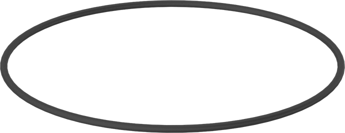 Sert Viton® Floroelastomer O-Ring, Kimyasala Dayanıklı, 1/8 Kesirli Genişlik, Dash Numarası 260