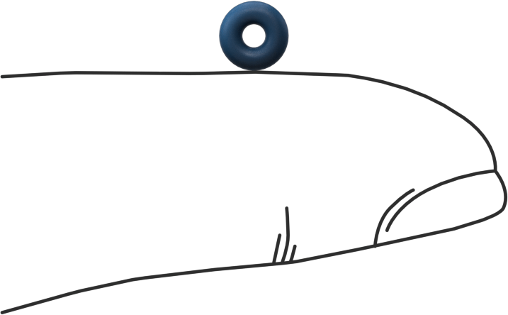 Düşük Sıcaklık Mil. Spec. Florosilikon O-Ring, Kimyasala Dayanıklı, 1/16 Kesirli Genişlik, Dash Numarası 004