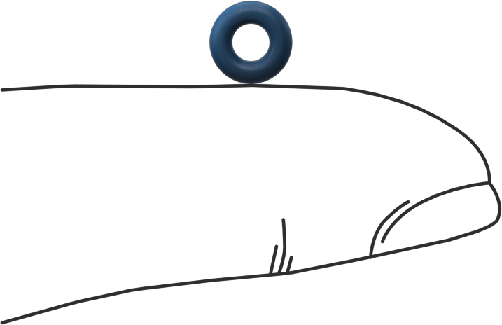 Düşük Sıcaklık Mil. Spec. Florosilikon O-Ring, Kimyasala Dayanıklı, 1/16 Kesirli Genişlik, Dash Numarası 006