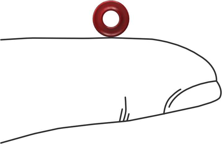 X Profilli Yüksek Sıcaklık Silikon O-Ring, 1/16 Kesirli Genişlik, Dash Numarası 006