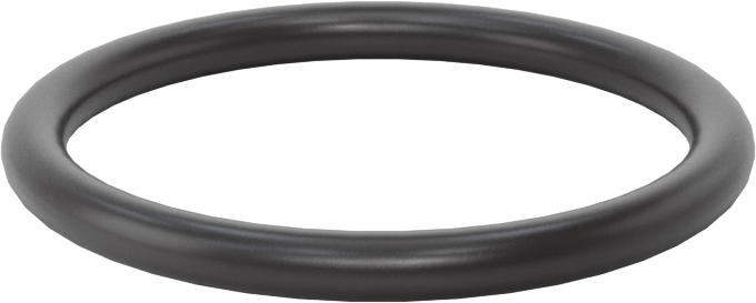 Ultra Kimyasala Dayanıklı FFKM 4079 O-Ring, 1/8 Kesirli Genişlik, Dash Numarası 220