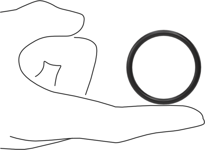 Ultra Kimyasala Dayanıklı FFKM 4079 O-Ring, 1/8 Kesirli Genişlik, Dash Numarası 221