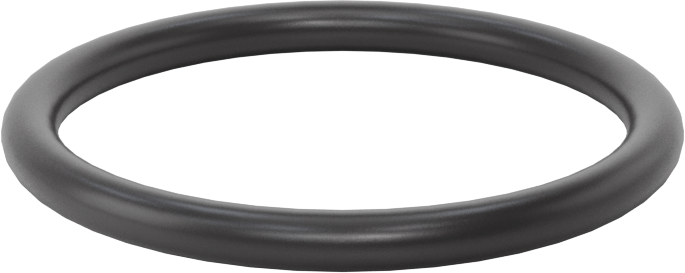 Ultra Kimyasala Dayanıklı FFKM 4079 O-Ring, 1/8 Kesirli Genişlik, Dash Numarası 221