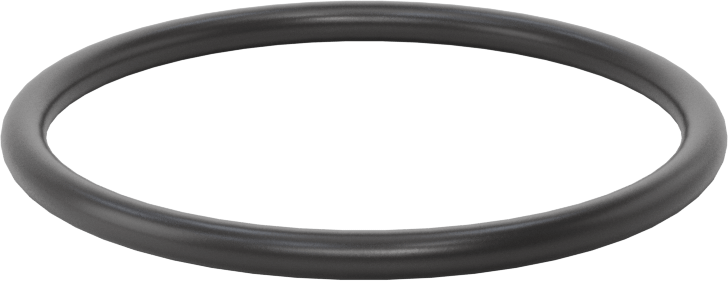 Ultra Kimyasala Dayanıklı FFKM 4079 O-Ring, 1/8 Kesirli Genişlik, Dash Numarası 226