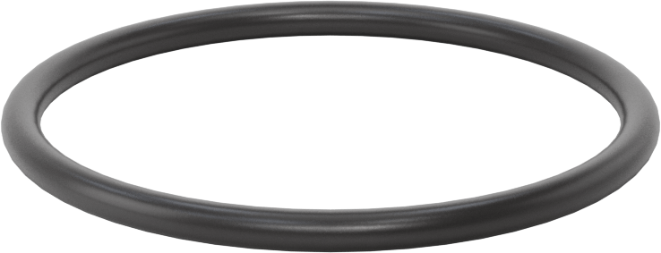 Ultra Kimyasala Dayanıklı FFKM 4079 O-Ring, 1/8 Kesirli Genişlik, Dash Numarası 227