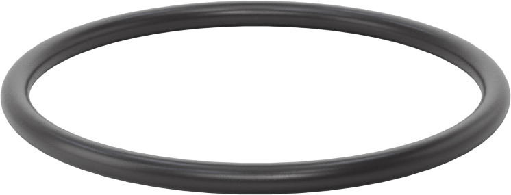 Ultra Kimyasala Dayanıklı FFKM 4079 O-Ring, 1/8 Kesirli Genişlik, Dash Numarası 228