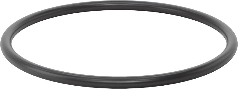 Ultra Kimyasala Dayanıklı FFKM 4079 O-Ring, 1/8 Kesirli Genişlik, Dash Numarası 232