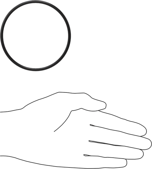 Ultra Kimyasala Dayanıklı FFKM 4079 O-Ring, 1/8 Kesirli Genişlik, Dash Numarası 235