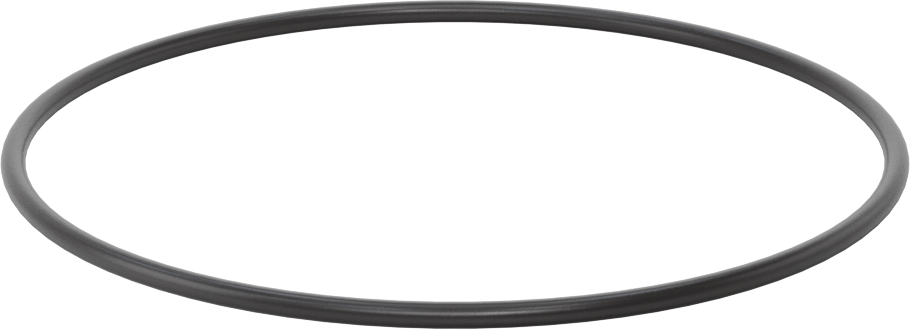 Ultra Kimyasala Dayanıklı FFKM 4079 O-Ring, 1/8 Kesirli Genişlik, Dash Numarası 250