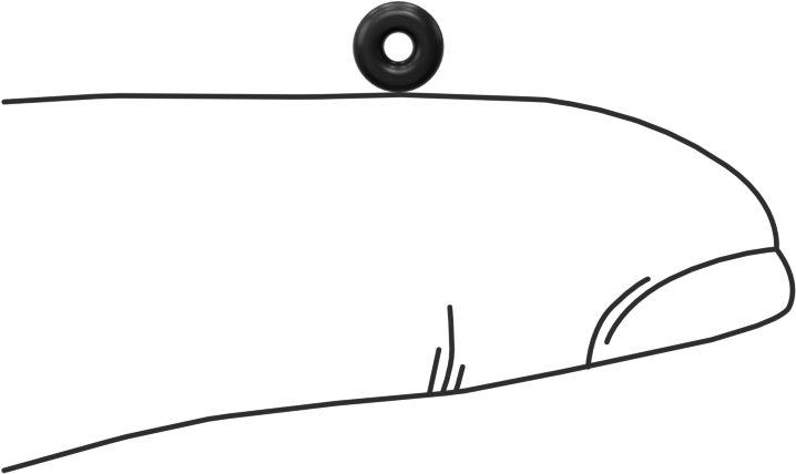 Ultra Kimyasala Dayanıklı FFKM 4079 O-Ring, 1/16 Kesirli Genişlik, Dash Numarası 003