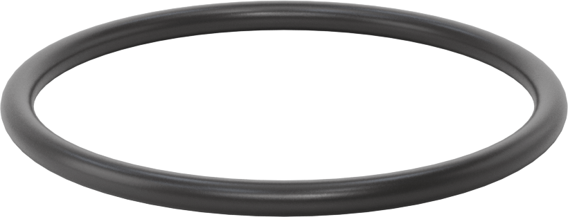 Ultra Kimyasala Dayanıklı FFKM 4079 O-Ring, 3/16 Kesirli Genişlik, Dash Numarası 339