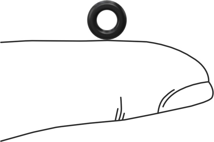 Ultra Kimyasala Dayanıklı FFKM 4079 O-Ring, 1/16 Kesirli Genişlik, Dash Numarası 007