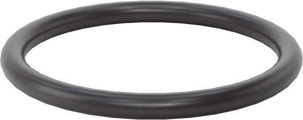 Ultra Kimyasala Dayanıklı FFKM 4079 O-Ring, 1/16 Kesirli Genişlik, Dash Numarası 018