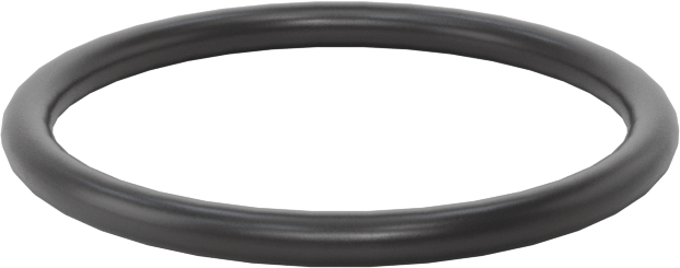 Ultra Kimyasala Dayanıklı FFKM 4079 O-Ring, 1/16 Kesirli Genişlik, Dash Numarası 019